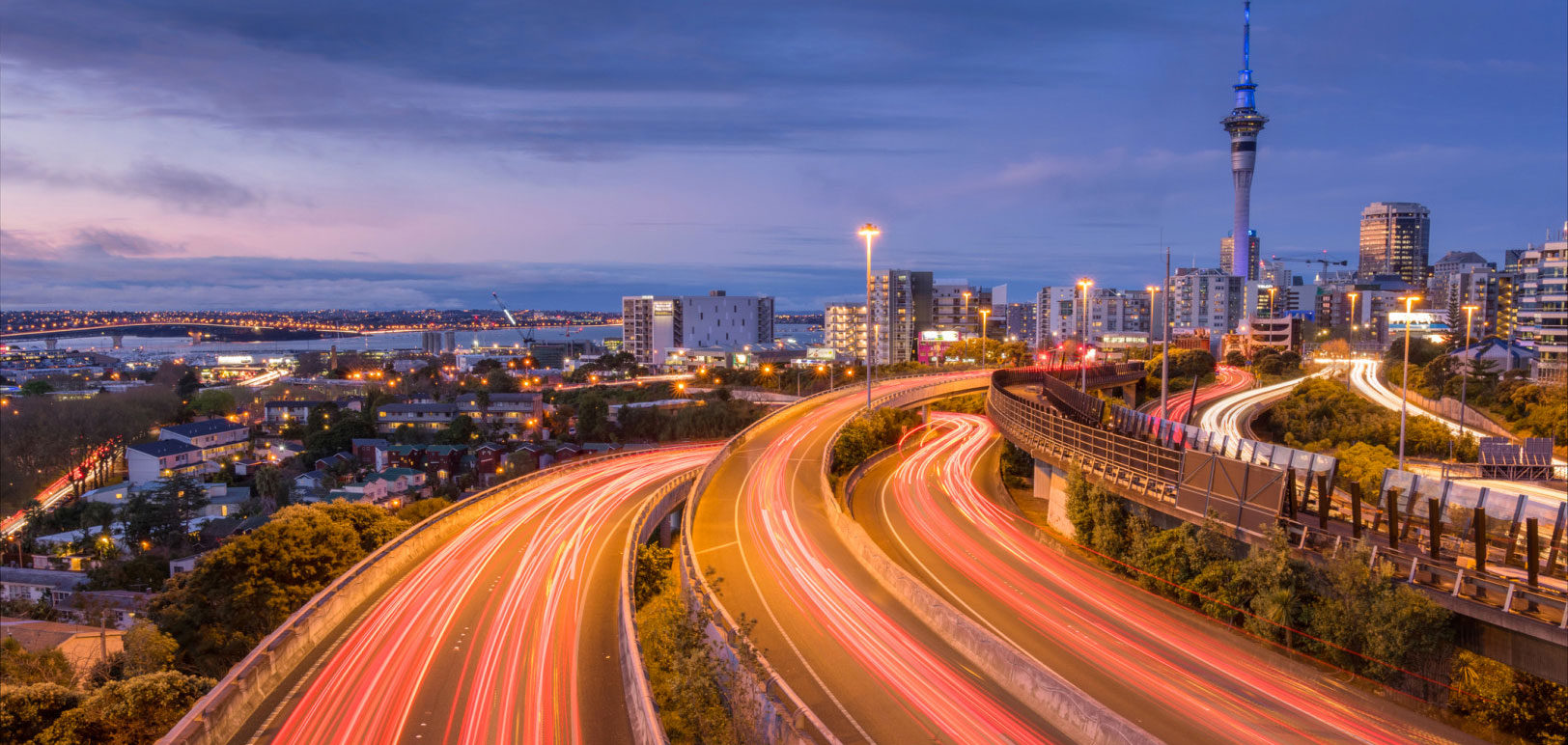 auckland skline